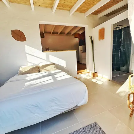 Casa Cesar * 拉哈雷斯