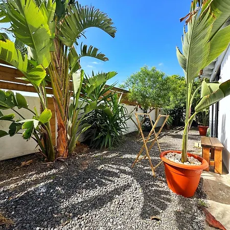 Casa Cesar