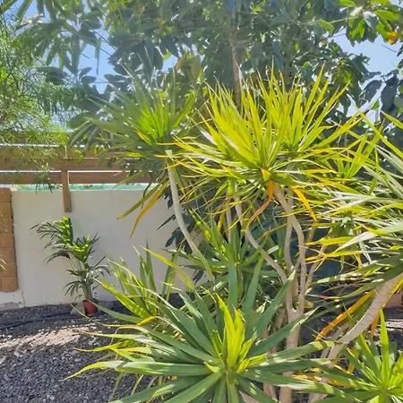 Casa César Lajares
